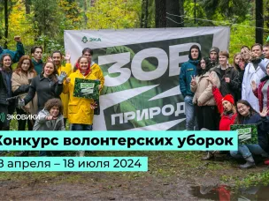 Конкурс волонтерских уборок «Зов природы» с раздельным сбором мусора проходит в России